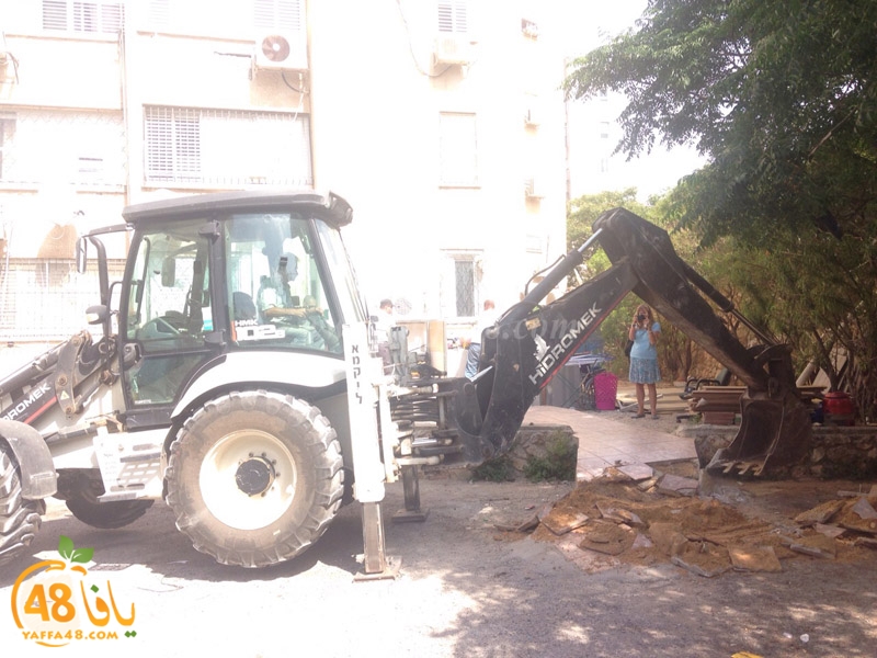 hadm ajza2444 (6).jpg